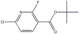 tert-Butyl 6-chloro-2-fluoronicotinate Structure