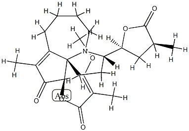 ProtosteMotinine Structure