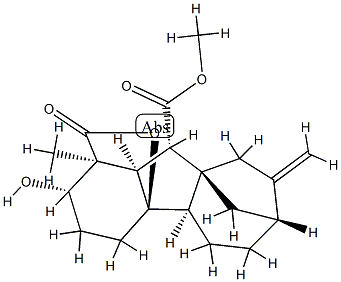 gibberellin A4 methyl ester Structure