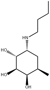 allo-Inositol, 6-(butylamino)-1,2,6-trideoxy-2-methyl- (9CI) Structure