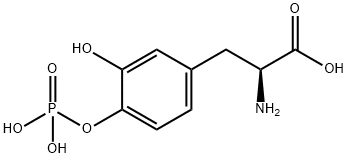 Levodopa 4'-Phosphate Structure