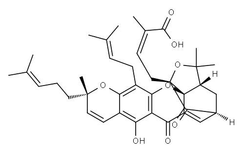 Epigambogic acid Structure