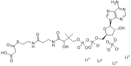 MALONYL COENZYME A TETRALITHIUM SALT Structure