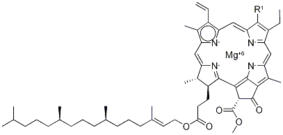 Chlorophyl  Structure