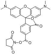 5(6)-Carboxytetramethylrhodamine succinimidyl ester  Structure