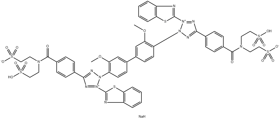 WST-5  Structure