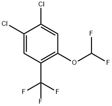 4,5-Dichloro-2-(difluoromethoxy)benzotrifluoride Structure