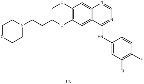 4-(3-Chloro-4-fluorophenylamino)-7-methoxy-6-[3-(4-morpholinyl)propoxy]quinazoline hydrochloride Structure