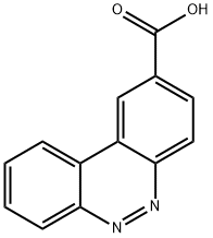 Benzo[c]cinnoline-2-carboxylic acid Structure