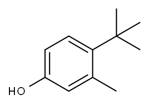 4-tert-butyl-m-cresol Structure