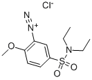 FAST RED SALT ITR Structure