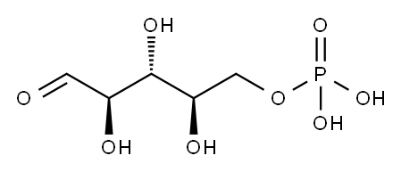 (2,3,4-trihydroxy-5-oxo-pentoxy)phosphonic acid Structure