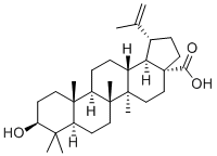 Epibetulinic acid Structure