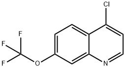 4-CHLORO-7-TRIFLUORO METHOXYQUINOLINE Structure