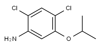2,4-DICHLORO-5-ISOPROPOXYANILINE Structure