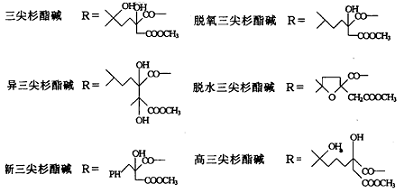 三尖杉酯碱类化合物结构式
