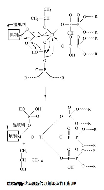 焦磷酸酯型钛酸酯偶联剂吸湿作用机理