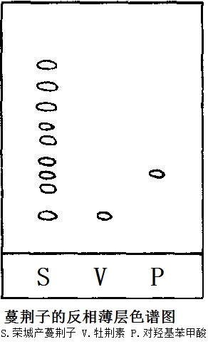 蔓荆子的反相薄层色谱图