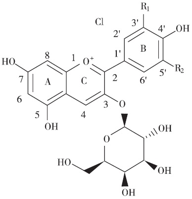 典型的花色苷分子结构