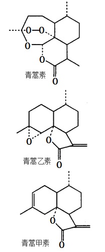 结构式