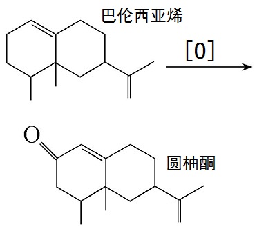 巴伦西亚烯制备圆柚酮的化学反应路线图