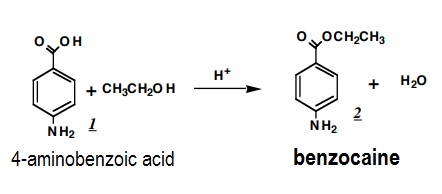 the synthesis of benzocaine