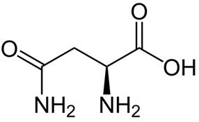 Figure 1 The chemical structure of the L-asparagine 