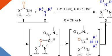 DMF又发挥神奇功效，助力铜催化实现杂环羟基直接胺化反应，避免POCl3的使用