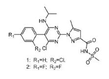 嘧啶胺类化合物 1