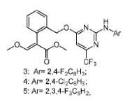 嘧啶胺类化合物 2