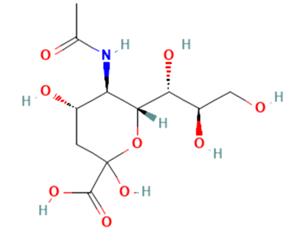 131-48-6 N-Acetylneuraminic acidPhysiological FunctionPreparationMetabolism