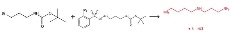 亚精胺盐酸盐的合成与应用