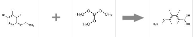 2,3-二氟-4-乙氧基苯硼酸的制备