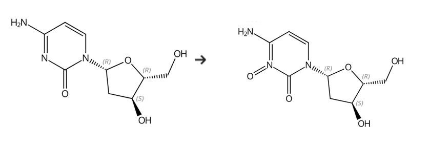 图1 2’-脱氧胞苷的合成路线[2]。