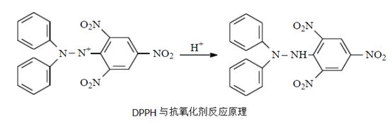 DPPH与氧化剂反应.png