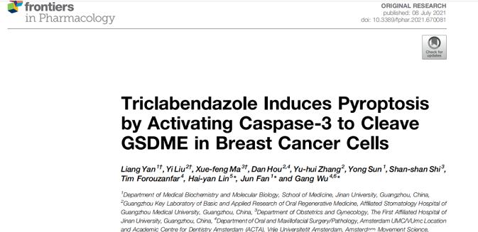 三氯苯达唑可间接诱导乳腺癌细胞焦亡