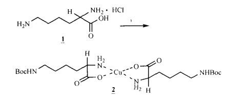 N-alpha-芴甲氧羰基-N-epsilon-叔丁氧羰基-L-赖氨酸合成-1.jpg