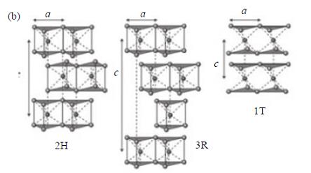 MoS2 的三维结构（a）和3 种晶体结构（b）2.png