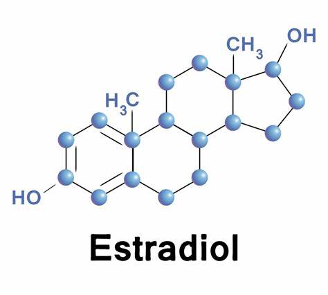 Estradiol.jpg