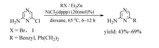 Ni催化烷基锌试剂与氨基杂环氯化物的偶联反应.jpg