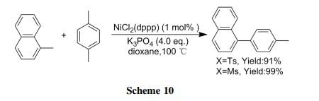 Ni催化对甲苯磺酸酯和甲磺酸酯的Suzuki-Miyaura偶联反应.jpg