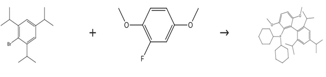 图2 2-(二环己基膦)-3，6-二甲氧基-2'-4'-6'-三-I-丙基-11'-联苯的合成路线