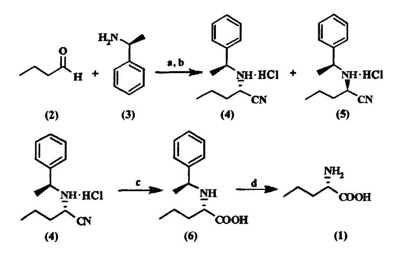 L-正缬氨酸的应用与制备