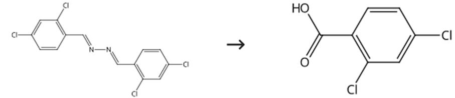 图2 2，4-二氯苯甲酸的合成路线