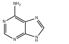 73-24-5 Adenosine Ep Impurity AAdenine