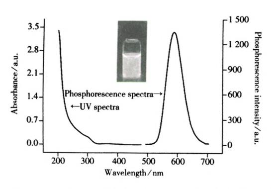 PEl包覆Mn掺杂znS量子点的磷光和紫外光谱图