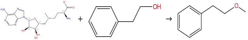 图1 甲基苯乙基醚的合成路线