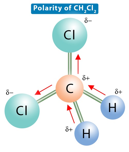 75-34-3 1,1-DichloroethaneUsesEnvironmental FateMechanismof actionToxicity