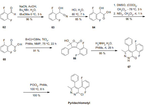 Pyridazine, 3-chloro-4-(2,6-difluorophenyl)-6-methyl-5-phenyl-