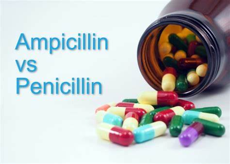 69-53-4 AmpicillinAmoxicillin